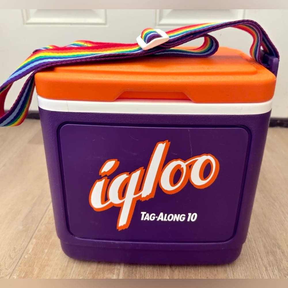 Vintage 1991 Igloo Tag Along 10 Rainbow Strap Cooler